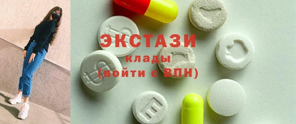 ECSTASY Богородицк