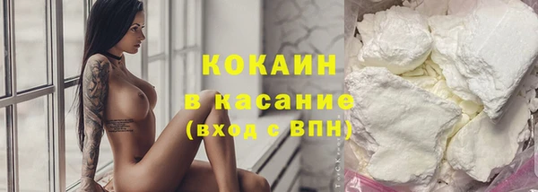 твердый Лиски