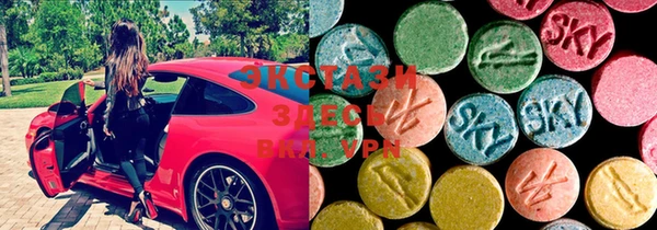 ECSTASY Богородицк