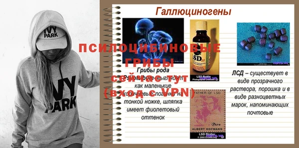а пвп мука Липки