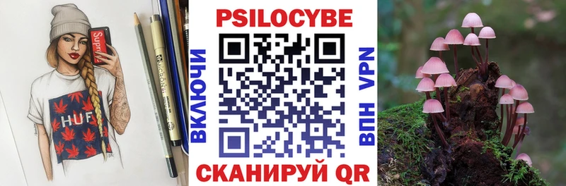 дарнет шоп  Северск  Псилоцибиновые грибы MAGIC MUSHROOMS 