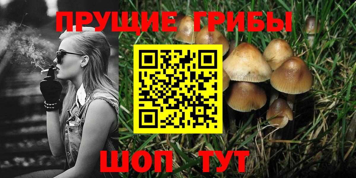 продажа наркотиков  Галлюциногенные грибы MAGIC MUSHROOMS  Вход с VPN  Северск 