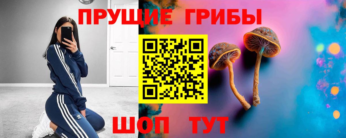 Галлюциногенные грибы Magic Shrooms  Галлюциногенные грибы мицелий  Северск 