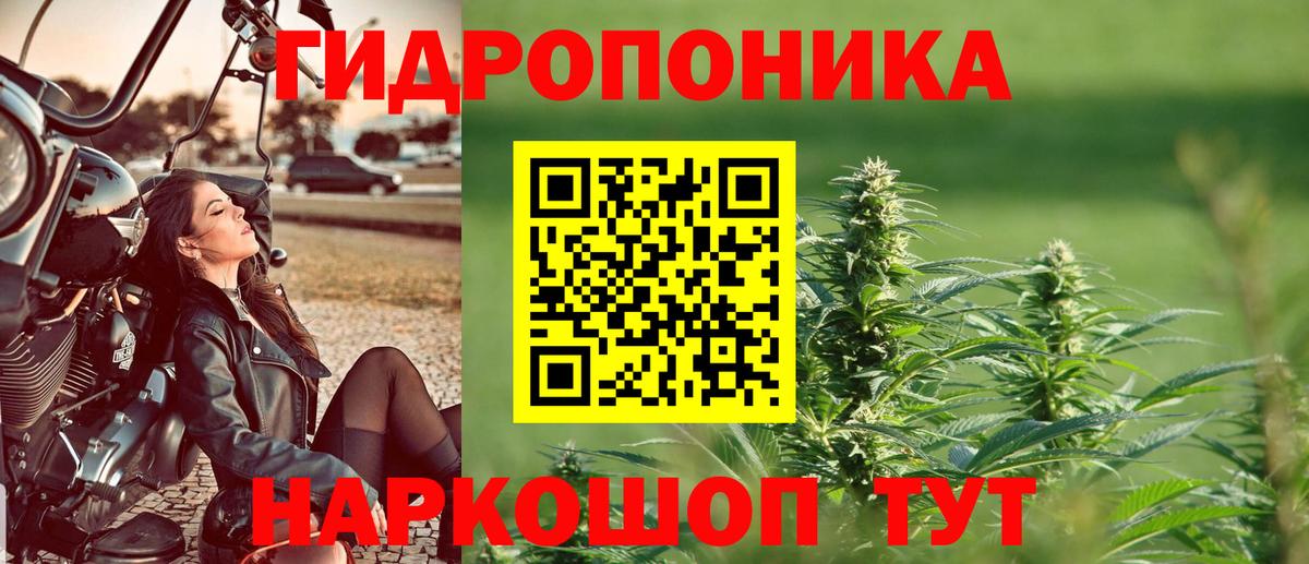 Северск  Бошки марихуана марихуана  Вход с VPN  Каннабис LSD WEED  Марихуана конопля 